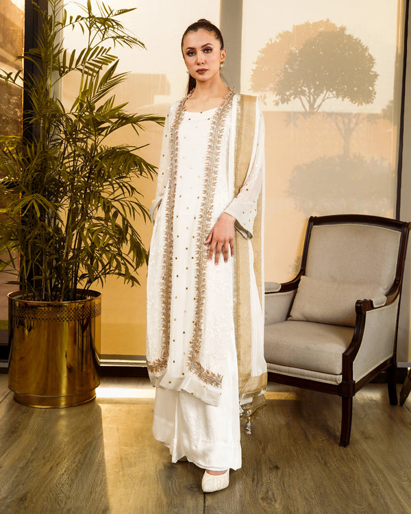 Embroidered And Mukesh Panel Shirt