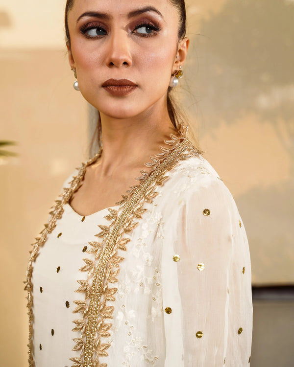 Embroidered And Mukesh Panel Shirt