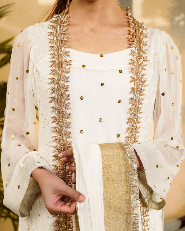 Embroidered And Mukesh Panel Shirt