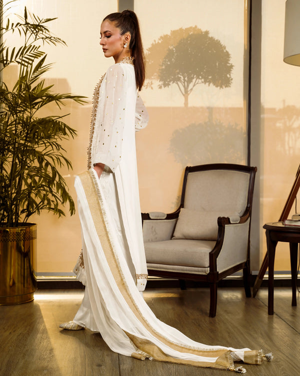 Embroidered And Mukesh Panel Shirt