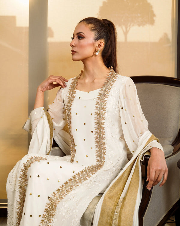 Embroidered And Mukesh Panel Shirt