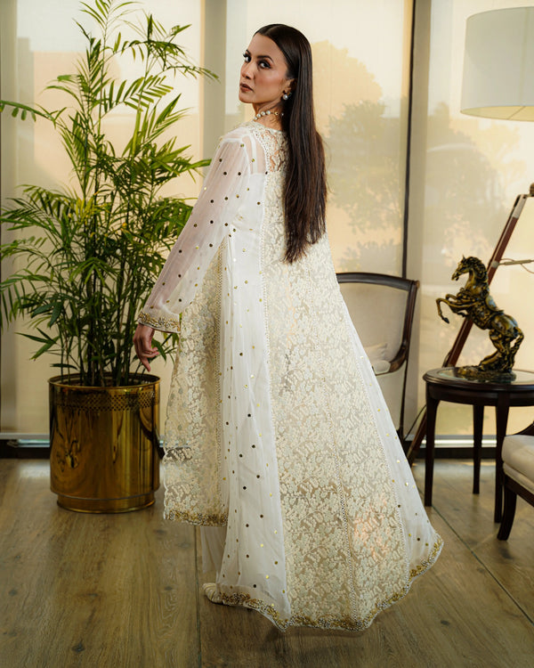 chiffon gown back