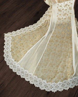 Gold Embroidered Chiffon Gown